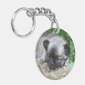 Langhaariger Chihuahua-Welpe Schlüsselanhänger (Vorderseite links)