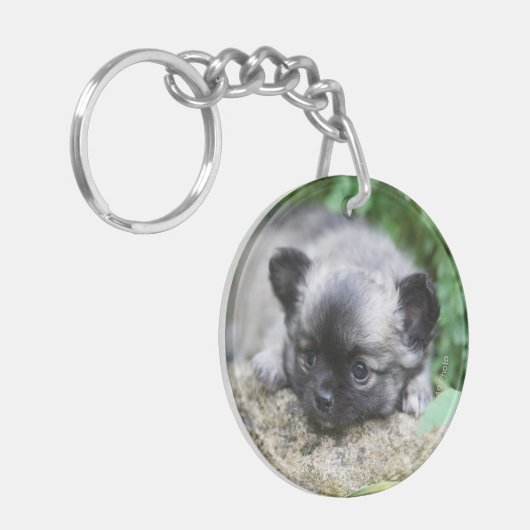 Langhaariger Chihuahua-Welpe Schlüsselanhänger (Vorderseite links)
