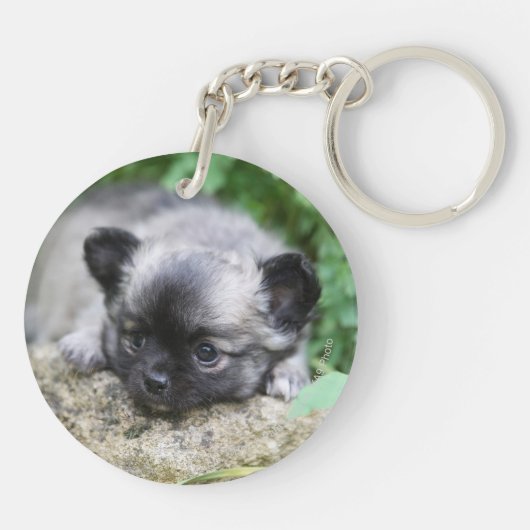 Langhaariger Chihuahua-Welpe Schlüsselanhänger (Rückseite)