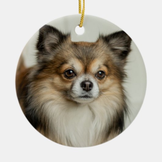 Langhaariger Chihuahua-Welpenhund Keramik Ornament (Vorne)
