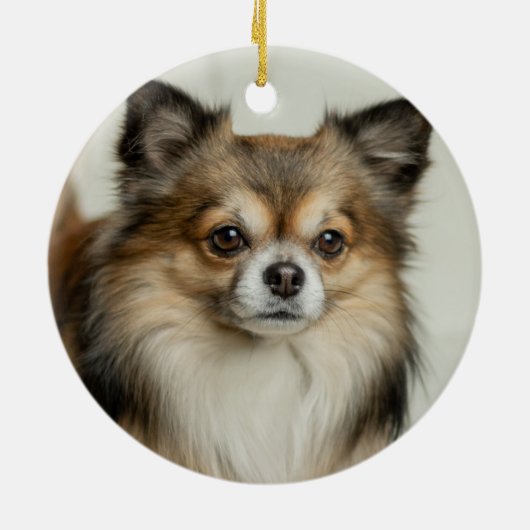 Langhaariger Chihuahua-Welpenhund Keramik Ornament (Hinten)