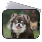 Langhaariger ChihuahuaHeadshot 1 Laptopschutzhülle (Vorderseite)