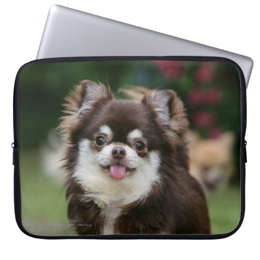 Langhaariger ChihuahuaHeadshot 1 Laptopschutzhülle (Vorderseite)