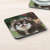 Langhaariger ChihuahuaHeadshot 1 Untersetzer (Linke Seite)