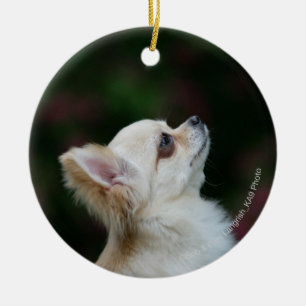 Langhaariger ChihuahuaHeadshot 2 Keramik Ornament