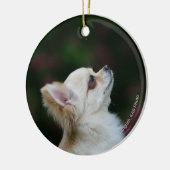 Langhaariger ChihuahuaHeadshot 2 Keramik Ornament (Links)