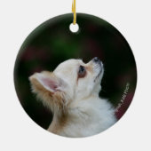 Langhaariger ChihuahuaHeadshot 2 Keramik Ornament (Hinten)