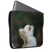 Langhaariger ChihuahuaHeadshot 2 Laptopschutzhülle (Vorne Rechts)