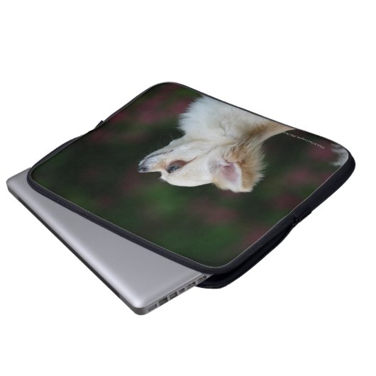 Langhaariger ChihuahuaHeadshot 2 Laptopschutzhülle (Vorne Knopf)