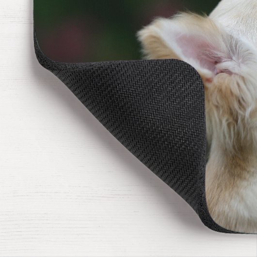 Langhaariger ChihuahuaHeadshot 2 Mousepad (Ecke)