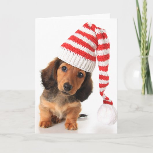 Langhaariger Dackel-Welpe Feiertagskarte (Vorderseite)