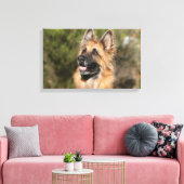 Langhaariger Deutscher Schäferhund 1 Leinwanddruck (Insitu (Wohnzimmer))