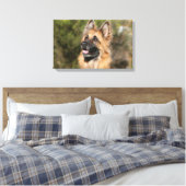 Langhaariger Deutscher Schäferhund 1 Leinwanddruck (Insitu (Schlafzimmer))