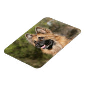 Langhaariger Deutscher Schäferhund 1 Magnet (Linke Seite)