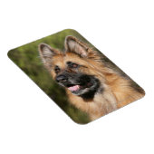 Langhaariger Deutscher Schäferhund 1 Magnet (Rechte Seite)