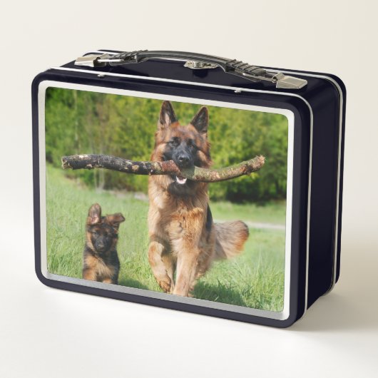 Langhaariger Flusshirtenhund Metall Brotdose (Rückseite)