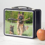 Langhaariger Flusshirtenhund Metall Brotdose (Beispiel)