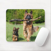Langhaariger Flusshirtenhund Mousepad (Mit Mouse)
