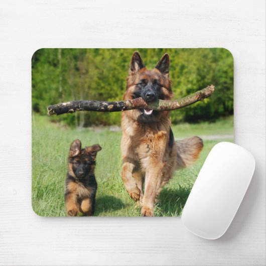 Langhaariger Flusshirtenhund Mousepad (Mit Mouse)