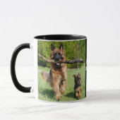 Langhaariger Flusshirtenhund Tasse (Links)