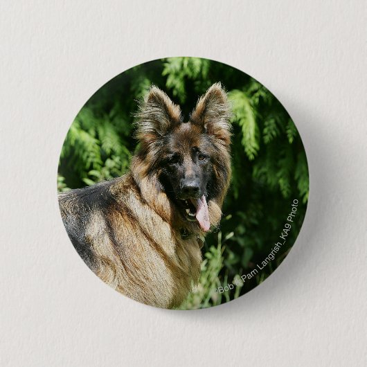 Langhaariger Schäferhund 1 Browns Button (Vorderseite)