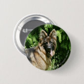 Langhaariger Schäferhund 1 Browns Button (Vorne & Hinten)