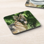 Langhaariger Schäferhund 1 Browns Untersetzer (Linke Seite)