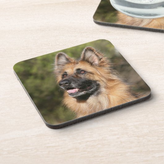 Langhaariger Schäferhund 1 Untersetzer (Linke Seite)