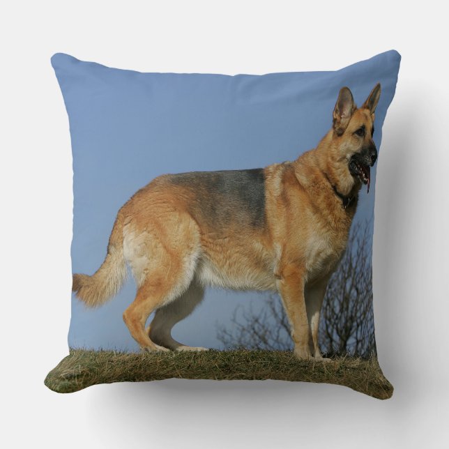 Langhaariger Schäferhund 2 Browns Kissen (Vorderseite)