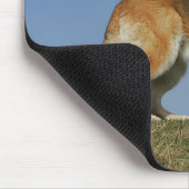 Langhaariger Schäferhund 2 Browns Mousepad (Ecke)