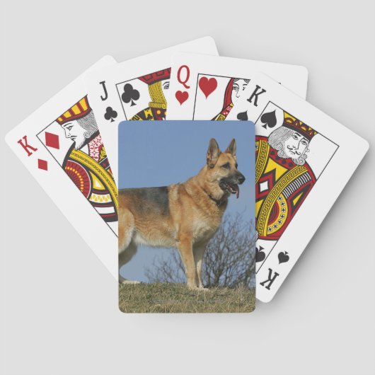 Langhaariger Schäferhund 2 Browns Spielkarten (Rückseite)