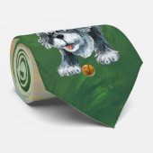 Langhaariger Schäferhund Krawatte (Gerollt)