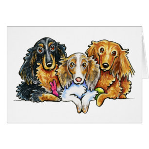 Langhaariges Dackel-Trio