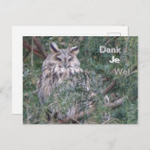 Langhaarkugel Danke, Postkarte (Vorne/Hinten)