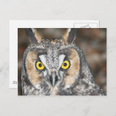 Langhahn Postkarte (Vorne/Hinten)