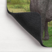 Langhals-Dinosaurier-Dschungel-Abenteuer Mousepad (Ecke)