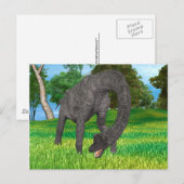 Langhalsdinosaurier-Dschungel-Abenteuer Postkarte (Vorne/Hinten)