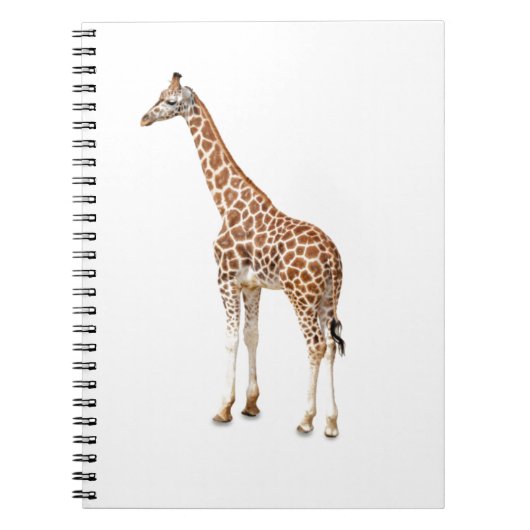 Langhalsgiraffe Notizblock (Vorderseite)