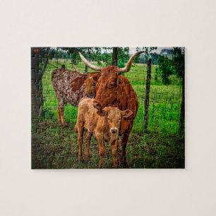 Langhorn-Rinder Texas Puzzle