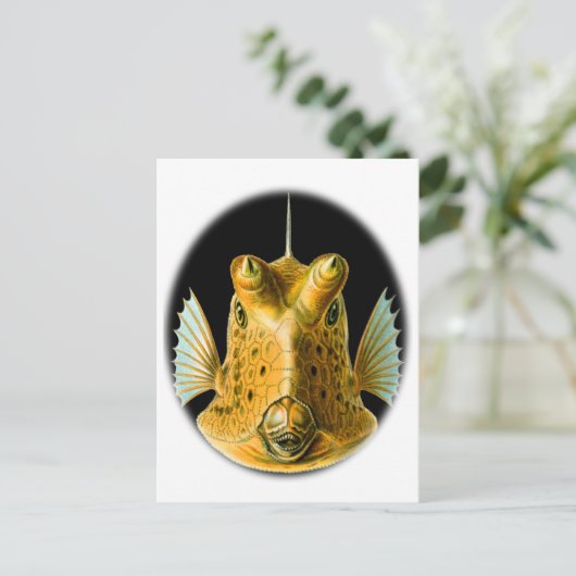 Langhornfisch Postkarte (Stehend Vorderseite)