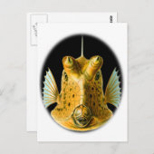 Langhornfisch Postkarte (Vorne/Hinten)