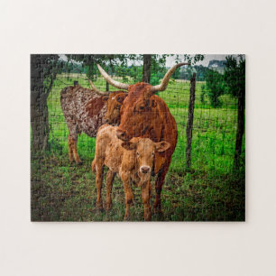 Langhornrinder Texas. Puzzle