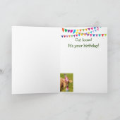 Langjährige Kuh auf Ernährung Geburtstag Karte (Innenseite)
