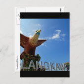 Langkawi-Adler Postkarte (Vorne/Hinten)