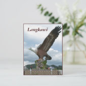 Langkawi Eagle Postkarte (Stehend Vorderseite)