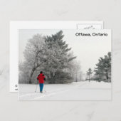 Langlaufen an einem Frosttag Postkarte (Vorne/Hinten)