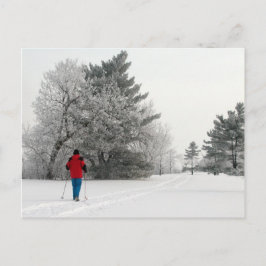 Langlaufen an einem Frosttag Postkarte