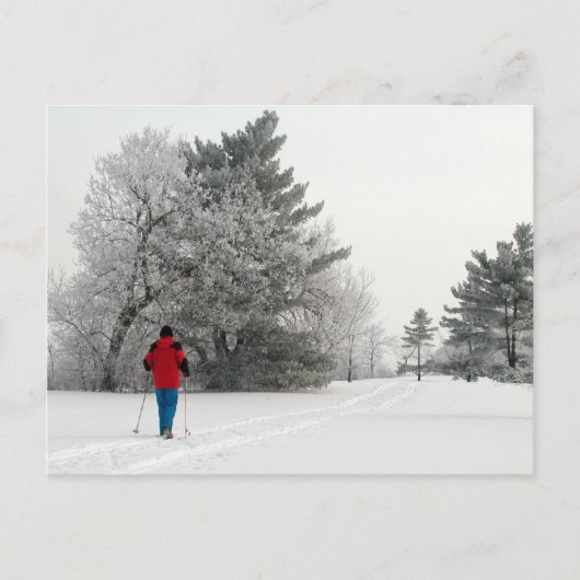 Langlaufen an einem Frosttag Postkarte (Vorderseite)