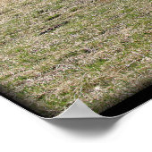 Langläufer-Führung {2} -Größe und Leinwand auswähl Poster (Ecke)