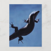 Langlebigkeit Postkarte (Vorderseite)